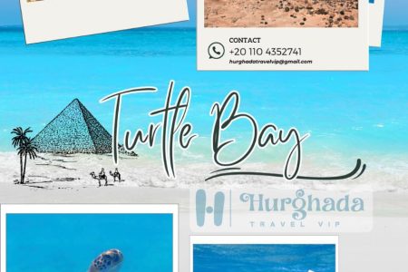 Turtle Bay Abu Dabbab Tour