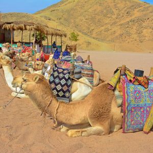 b7997e93 3921 431b 8d63 eb6c97f44199