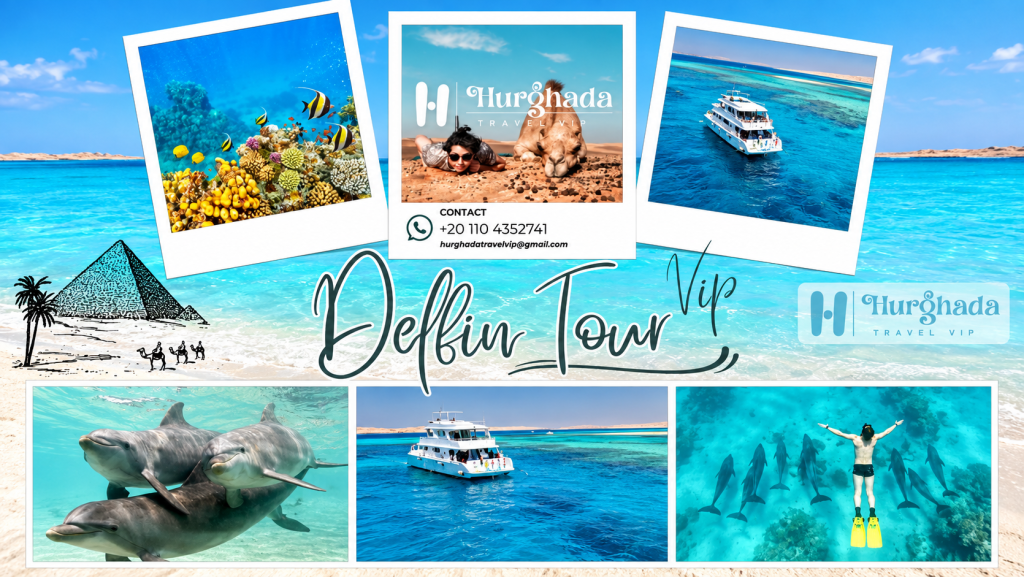 VIP Dolphin Tour
