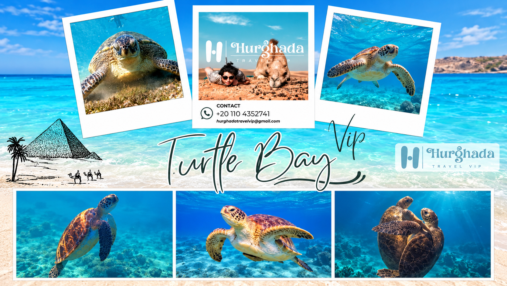 Turtle Bay