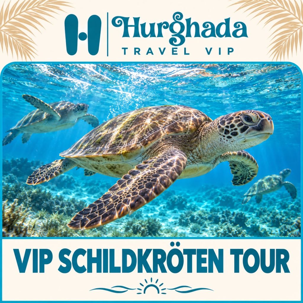 VIP Turtle Bay Abu Dabbab